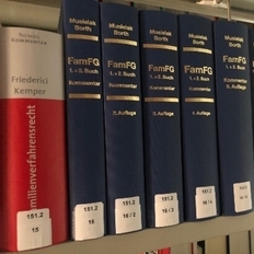 Allgemeine Hinweise zum Verfahren zur Anerkennung ausländischer Entscheidungen in Ehesachen