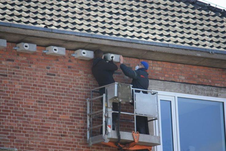 Zwei Personen bringen mithilfe einer Hebebühne die Nistkäsen an der Hausfassade des Oberlandesgerichts an.