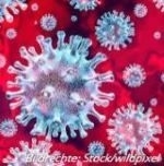 Corona Virus (Schmuckbild)